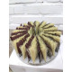 Sisal sanding brush 400